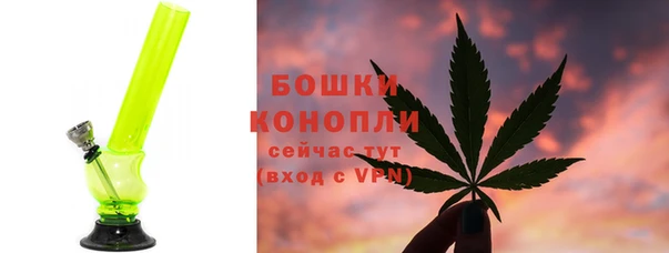 индика Семилуки