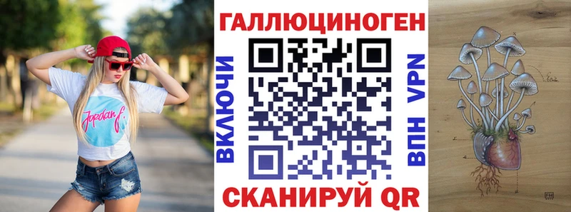 цены mega ТОР Псилоцибиновые грибы Cubensis Мещовск